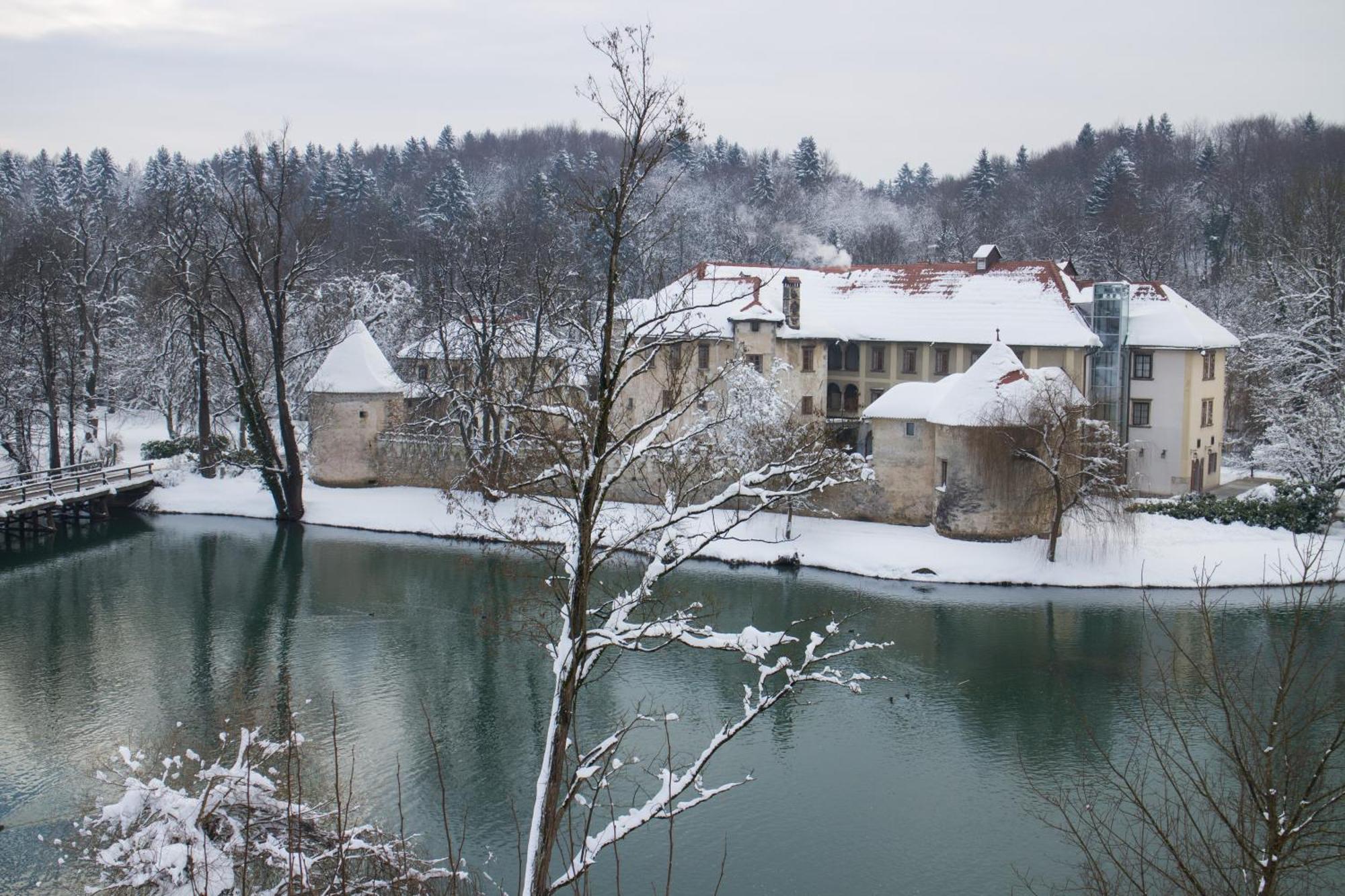 Hotel Grad Otocec - Relais Chateaux Стая снимка