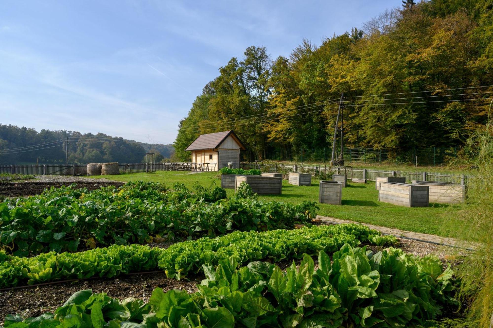 Hotel Grad Otocec - Relais Chateaux Екстериор снимка